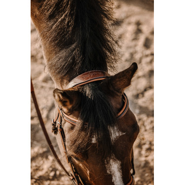 Bridão Eric Thomas Work Havana Castanho
