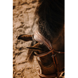 Bridão Eric Thomas Crown Havana Castanho Bridão Eric Thomas Crown Havana Castanho