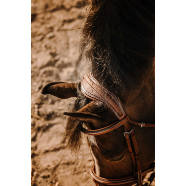 Bridão Eric Thomas Crown Havana Castanho Bridão Eric Thomas Crown Havana Castanho