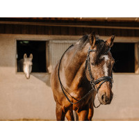 Bridon Eric Thomas Bat Preto