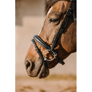 Bridon Eric Thomas Bat Preto Bridon Eric Thomas Bat Preto