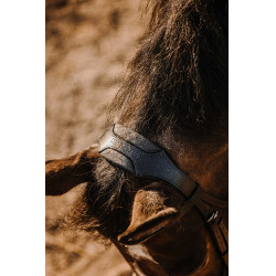 Bridon Eric Thomas Bat Preto Bridon Eric Thomas Bat Preto