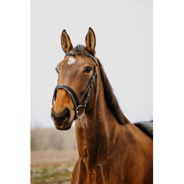 Bridon Norton Club Strass V Preto Bridon Norton Club Strass V Preto