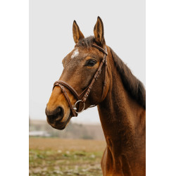 Bridon Norton Club Square Havana Castanho