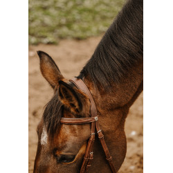 Bridon Norton Club Square Havana Castanho