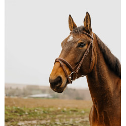 Bridon Norton Club Square Havana Castanho