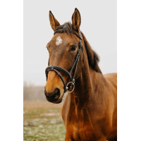 Bridon Norton Club Easy Preto