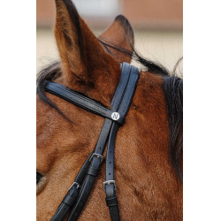 Treinamento de Bridon Norton Preto