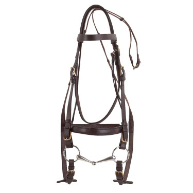 Bridão Excelsior Cavalo de Tração Havana Castanho Bridão Excelsior Cavalo de Tração Havana Castanho