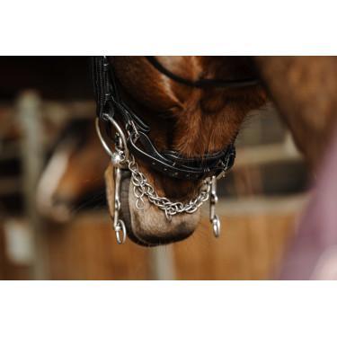 Bride Norton Basal Preto Bride Norton Basal Preto