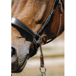 Bridon Sem-freio Norton Havana Castanho