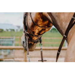 Bridon Sem-freio Norton Havana Castanho