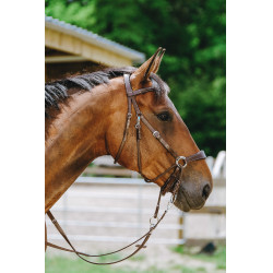 Bridon Sem-freio Norton Havana Castanho