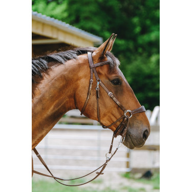 Bridon Sem-freio Norton Havana Castanho