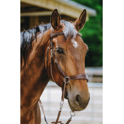Bridon Sem-freio Norton Havana Castanho