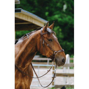 Bridon Sem-freio Norton Havana Castanho