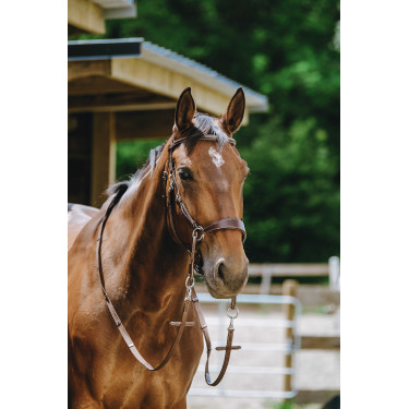 Bridon Sem-freio Norton Havana Castanho