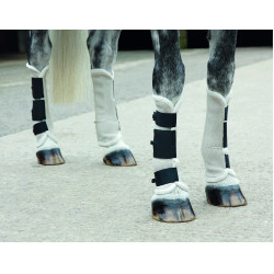 Polainas anti-moscas Fly Turnout Shires Polainas anti-moscas Fly Turnout Shires