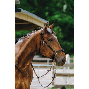 Bridon Sem-freio Norton Preto