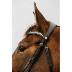 Bridon Norton Club Diva Preto Bridon Norton Club Diva Preto