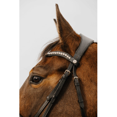 Bridon Norton Club Diva Preto Bridon Norton Club Diva Preto