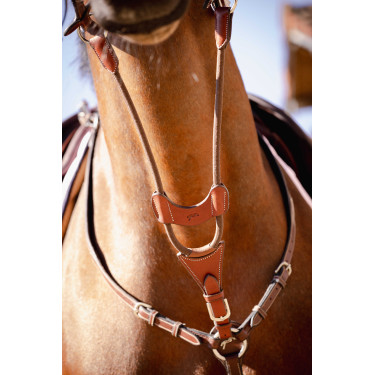 Flecha de martingal Pénélope Bip Light US elástica Avelã Castanho