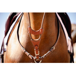 Flecha de martingal Pénélope Bip Light US elástica Avelã Castanho