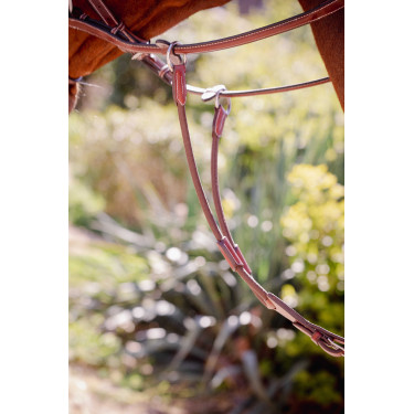 Flecha de martingal Pénélope Bip Light US elástica Avelã Castanho