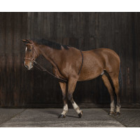 Enrêno Norton extensor suave Preto