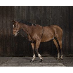 Enrêno Norton extensor suave Marinho / preto Azul Enrêno Norton extensor suave Marinho / preto Azul