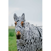 Touca anti-eczema Riding World Zebra preto / branco Motivos Touca anti-eczema Riding World Zebra preto / branco Motivos