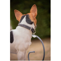 Coleira para cão Pénélope Olie Preto Coleira para cão Pénélope Olie Preto
