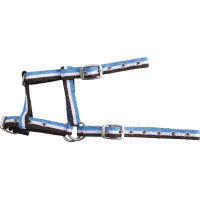 Cabresto ajustável para potro Choco / branco / céu Castanho