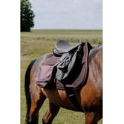 Tapete de caminhada Randol's Mesh Castanho Tapete de caminhada Randol's Mesh Castanho