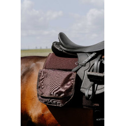 Tapete de caminhada Randol's Mesh Castanho Tapete de caminhada Randol's Mesh Castanho