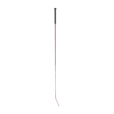 Chicote de adestramento Whip & Go com cabo de plástico Bordéus Bord&amp;amp;amp;amp;amp;ocirc;