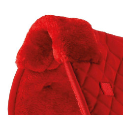 Amortecedor de dorso Riding World Vermelho Amortecedor de dorso Riding World Vermelho