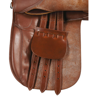 Selim Norton Aventura