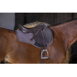 Sela Close Contact Norton Club Rexine Evol Castanho Sela Close Contact Norton Club Rexine Evol Castanho