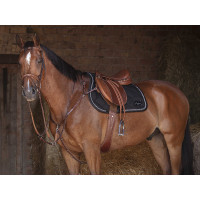 Cinta combinada Eric Thomas Hybrid Havana Castanho Cinta combinada Eric Thomas Hybrid Havana Castanho