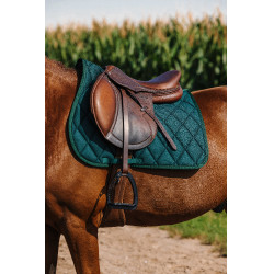 Sela de montar Riding World School Verde escuro