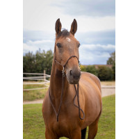 Cabezada Etológica com Rédeas