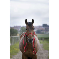 Cabezada Etológica com Rédeas Vermelho