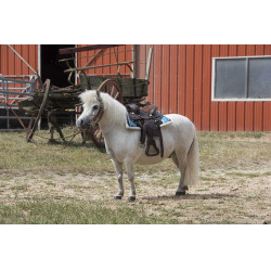 Tapete navajo acolchoado Turquesa Azul