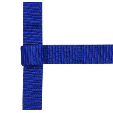 Cabresto ajustável mini Azul royal Cabresto ajustável mini Azul royal