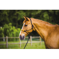 CABEÇÃO ETOLÓGICO + CABRESTO FUN COLOUR CABEÇÃO ETOLÓGICO + CABRESTO FUN COLOUR