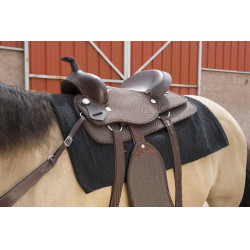 Tapete Westride Navajo algodão/acrílico liso Preto