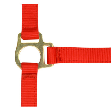 Cabresto de nylon para potro Vermelho