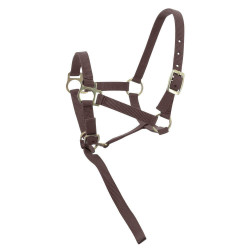 Cabresto de nylon para potro Castanho Cabresto de nylon para potro Castanho