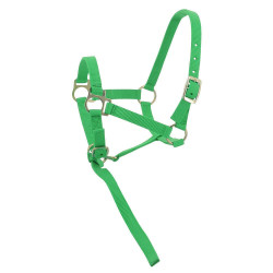 Cabresto de nylon para potro Verde claro Cabresto de nylon para potro Verde claro